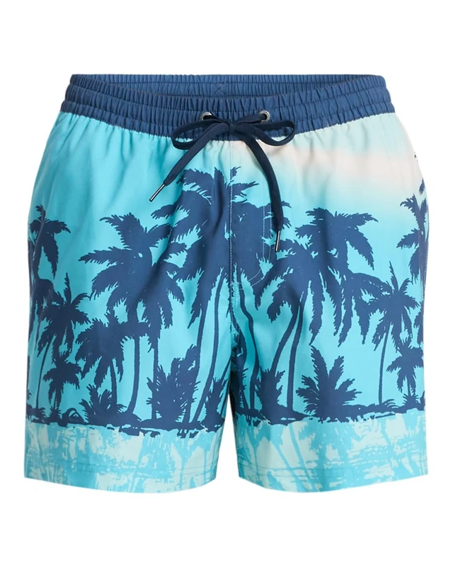 Quiksilver Men's Everyday Printed Volley 15 Board Shorts, Aqua THERMOTROPICS, M
