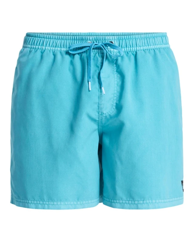 Quiksilver Men's Everyday Surfwash Volley 15 Board Shorts, Aqua, M