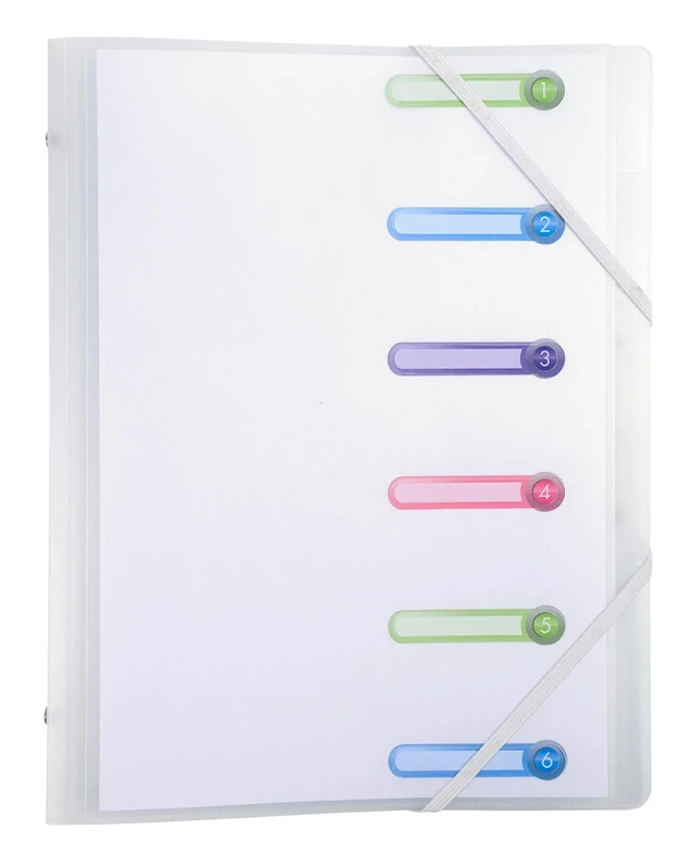 Exacompta - Ref 56177E - Box of 10 Chromaline File Boxes - 3 Flaps - with Elastic Bands and Cut-Out Windows - PP Cover and Interior - 6 compartments - Size 25x32cm - A4 - colourless