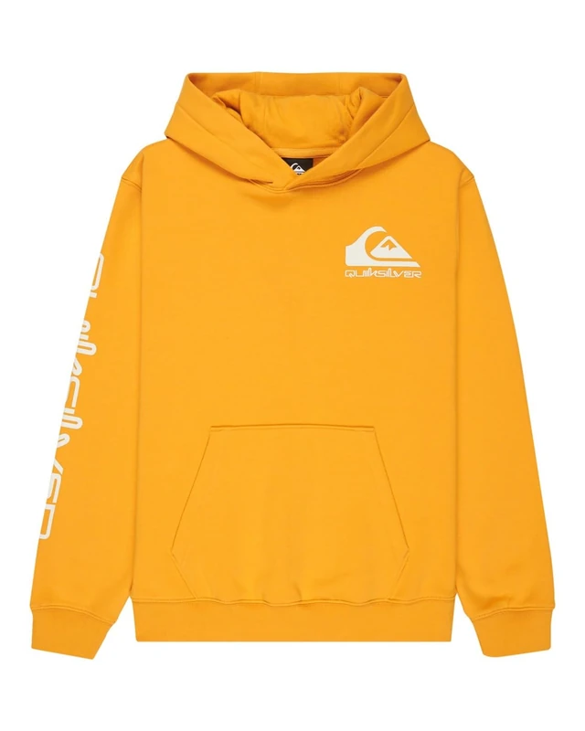 Quiksilver Hoodie OMNI LOGO HOODIE YOUTH Boys Yellow