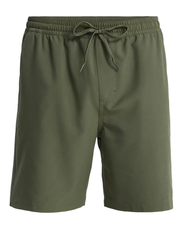 Quiksilver Amphibian Board Shorts Taxer Amphibian 18 Mens Brown - Image 1