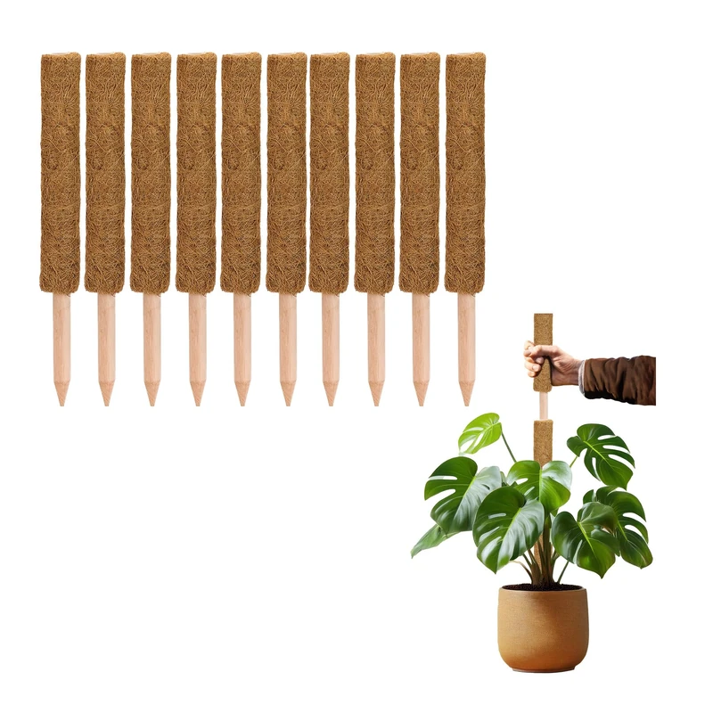 La Cordeline Set of 10 Climbing Plant Stakes 60 cm, Natural Coconut Support, Extension Support for Monstera, Garden, House Plants - Image 1