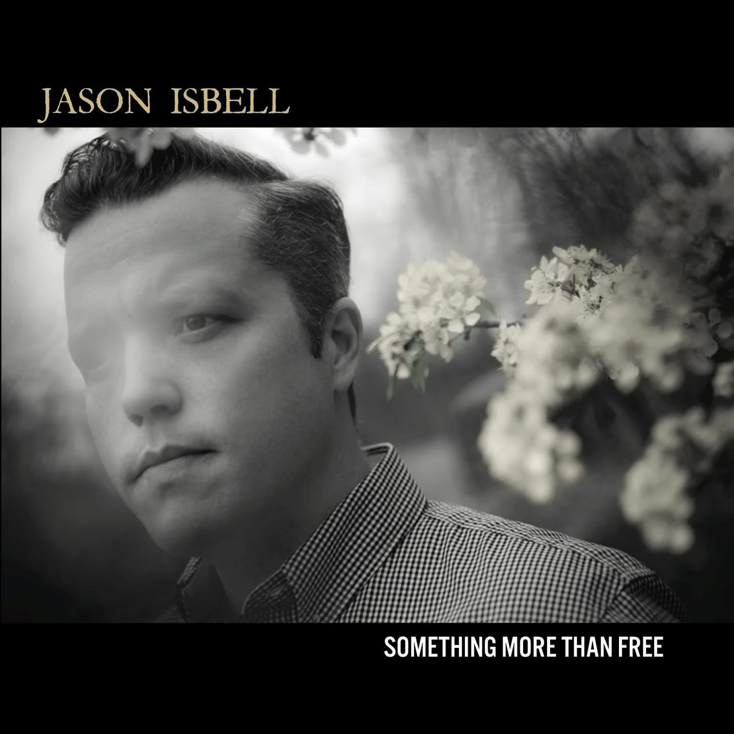 Something More Than Free (10 Year Anniversary Edition) [Explicit]