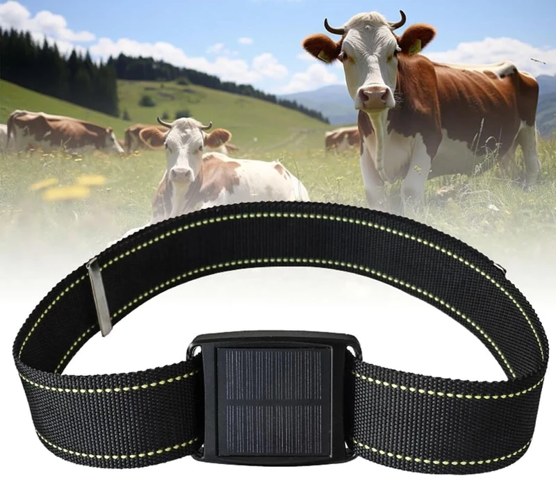 Solar Animal Tracker, Cow GPS Tracker, Historical Track, Real-time Positioning, Waterproof, Suitable, for Cattle, Sheep, Horses and Camels and Wildlife Monitoring - Image 1