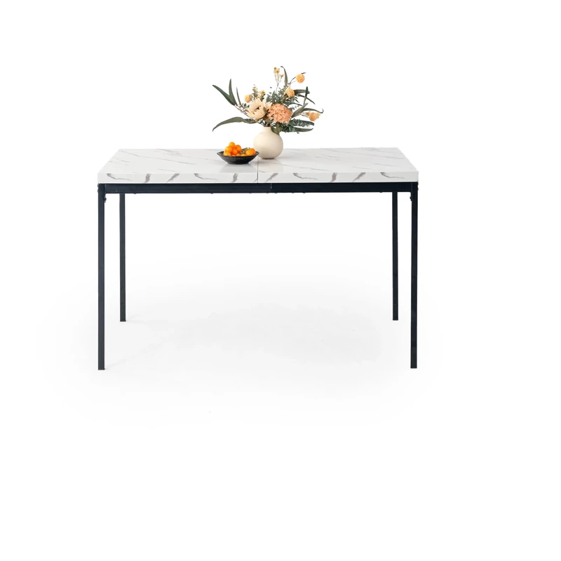 FurnitureR White Marble Rectangular Dining Table, L120CM for 4-6 People, Modern Minimalist Design, Thick Wood Top with Metal Frame, Elegant Centerpiece for Home or Office, Outdoor & Indoor 120x70x75