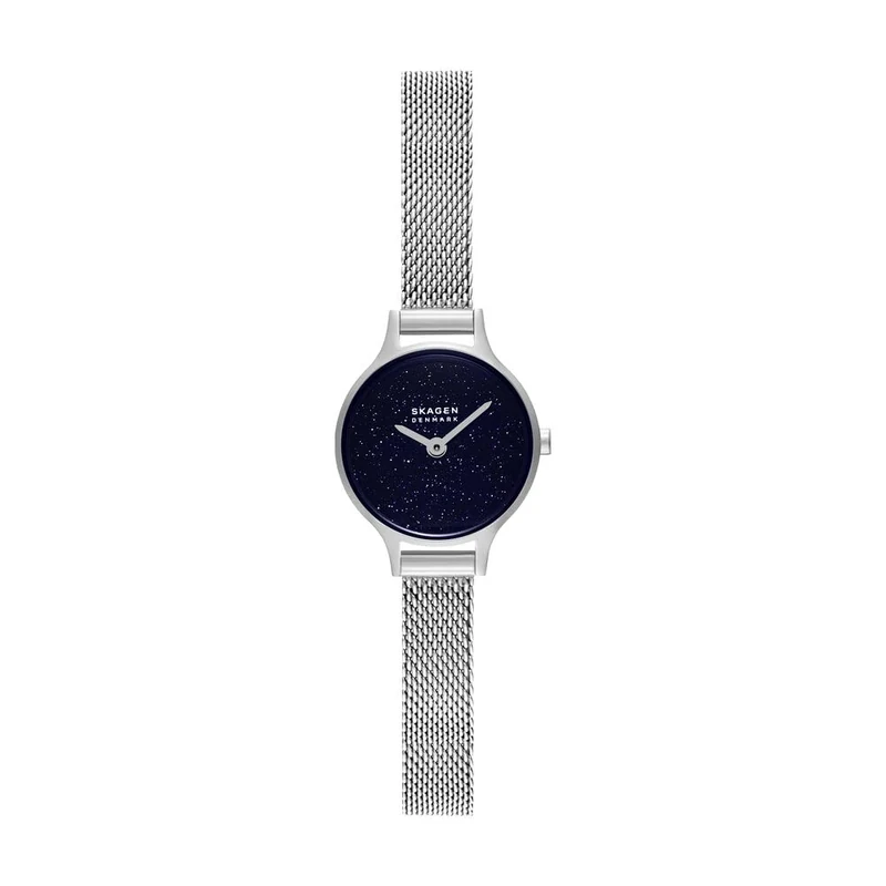 Skagen Anita Micro Women's 22MM Silver-Tone Stainless Steel Watch, SKW3172