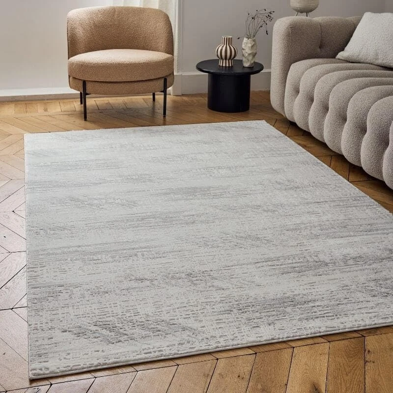 THE RUGS Carmel Modern Area Rug - Stain-Resistant, Non-Shedding, Durable Rugs for Living Room and Bedroom [ Marble Effect Grey, 120x170 cm ]