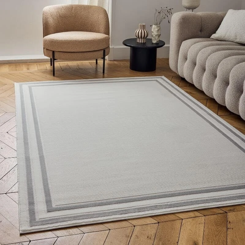 THE RUGS Carmel Modern Area Rug - Stain-Resistant, Non-Shedding, Durable Rugs for Living Room and Bedroom [ Bordered Grey, 80x150cm ]