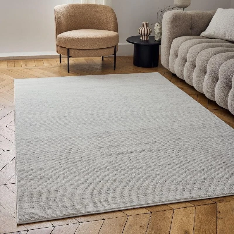 THE RUGS Carmel Modern Area Rug - Stain-Resistant, Non-Shedding, Durable Rugs for Living Room and Bedroom [ Striped Grey, 120x170 cm ]