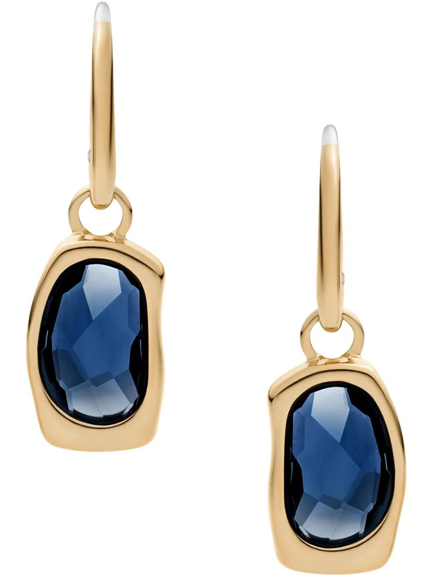 Skagen Women's Gold tone Stainless Steel with wire hook closure Earrings, Daffodil Gold