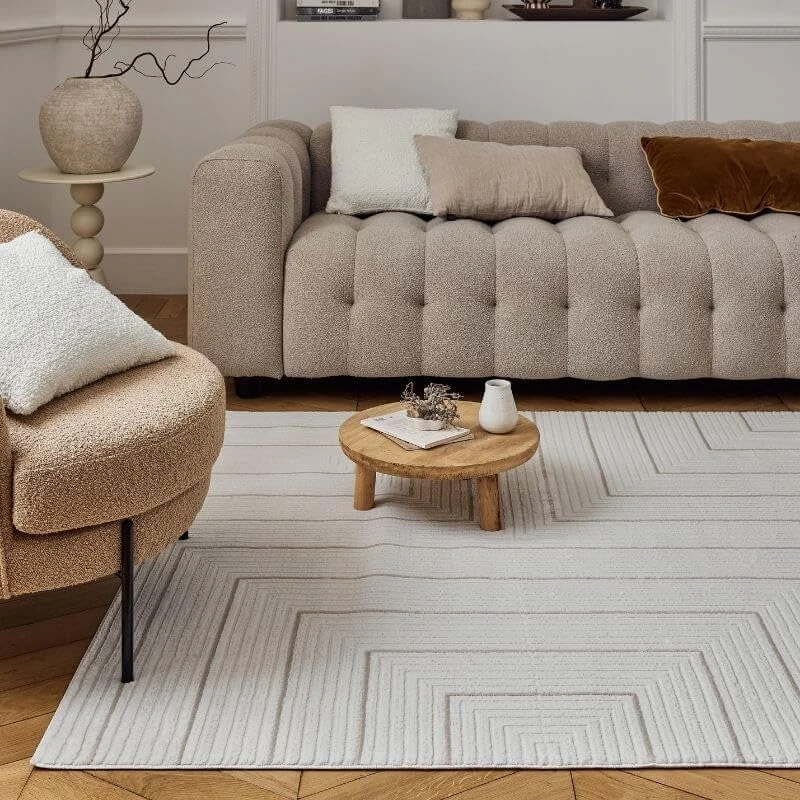 THE RUGS Carmel Modern Area Rug - Stain-Resistant, Non-Shedding, Durable Rugs for Living Room and Bedroom [ Geometric Beige, 80x150cm ]