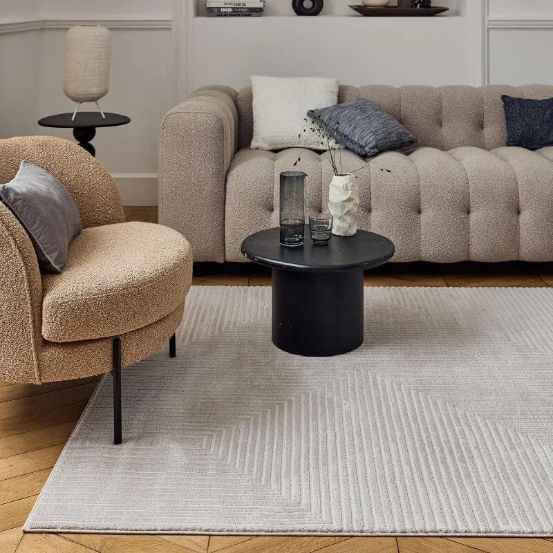 THE RUGS Carmel Modern Area Rug - Stain-Resistant, Non-Shedding, Durable Rugs for Living Room and Bedroom [ Symmetric Beige, 120x170 cm ]