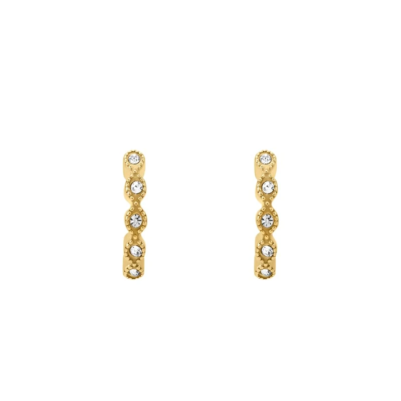 Fossil Women's Gold tone stainless Steel with hoop closure Earrings