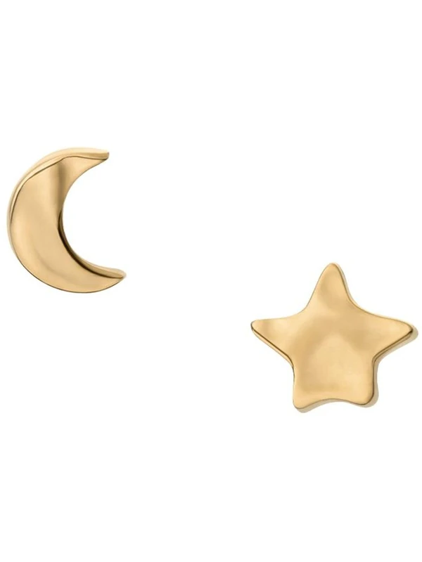 Skagen Women's Gold tone Stainless Steel or Semi- Precious with post closure Earrings, Warm Gold Tone