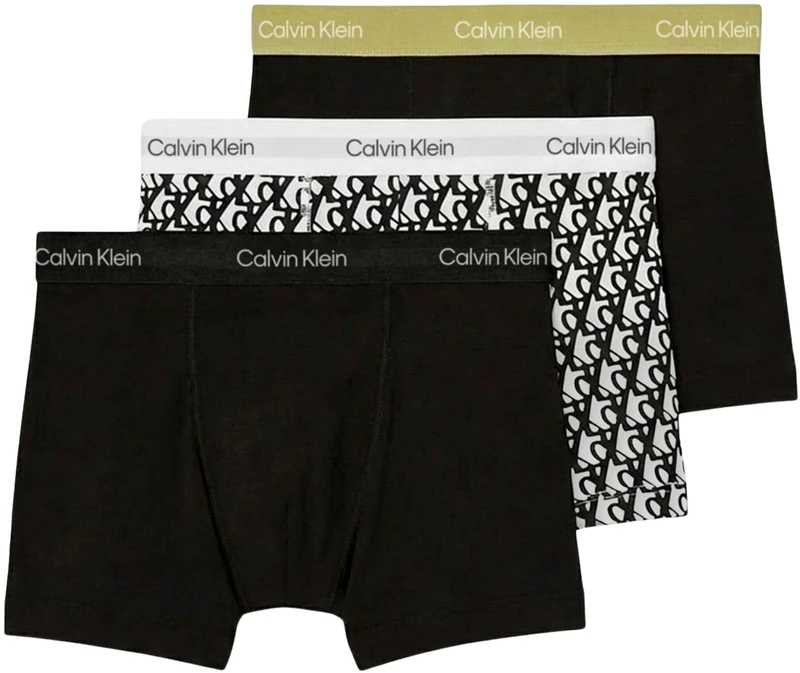 Calvin Klein Men’s 3 Pack Trunks, Green (GREEN BLOOM/PLUSH MONOGRAM White/B), L