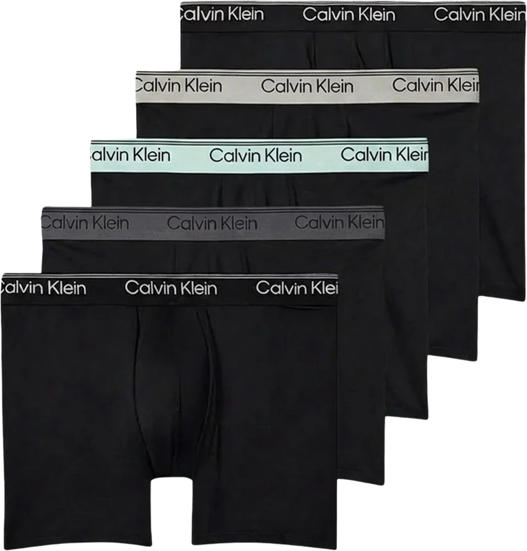 Calvin Klein Men's 5 Pack Boxer Briefs with Logo Waistband, Black (Black Bodies W/Black/Light Cast/Fe), S