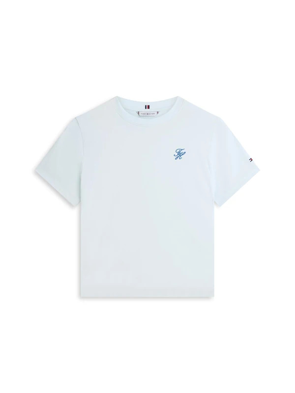 Tommy Hilfiger Women's Th Script Reg C-Nk Ss Tee Ww0Ww47809, Blue, XL