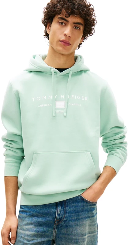 Tommy Hilfiger Men's Brand Love Tr Mono Stack Hoody MW0MW42464 Pullover Hoodie, GREEN, XXL