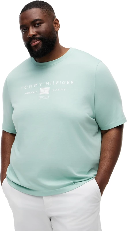 Tommy Hilfiger Men's Bt-Brand Love Mono Stack Tee-B MW0MW44053 S/S T-Shirt, Green, 3XL - Image 1
