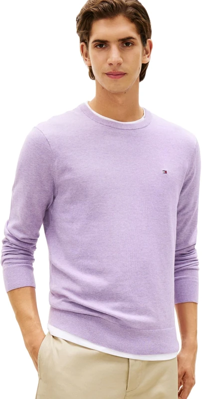 Tommy Hilfiger Men's Essential Ssnl Cotton Crew Neck MW0MW39999 Pullover Sweater, Purple, XS