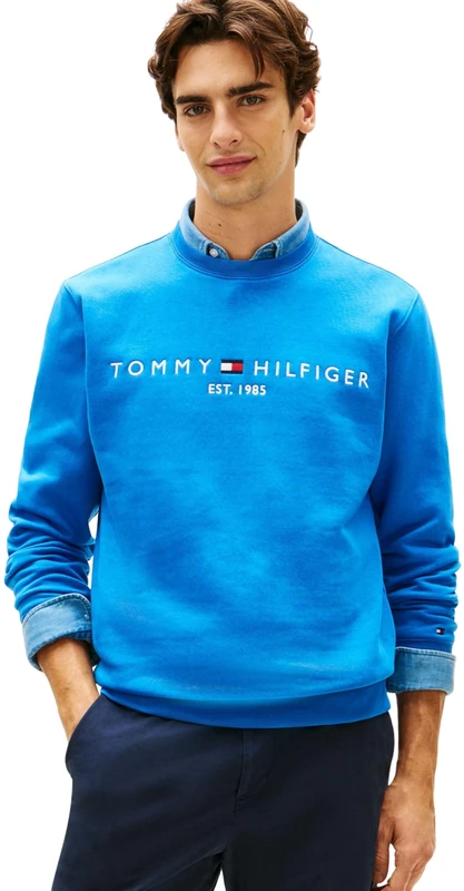 Tommy Hilfiger Men's Tommy Logo Sweatshirt MW0MW11596 Pullover Sweatshirt, BLUE, L