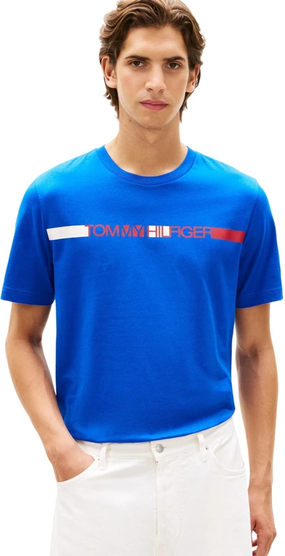 Tommy Hilfiger Men's Brand Love Stripe Tee MW0MW42368 S/S T-Shirt, Blue, XL - Image 1
