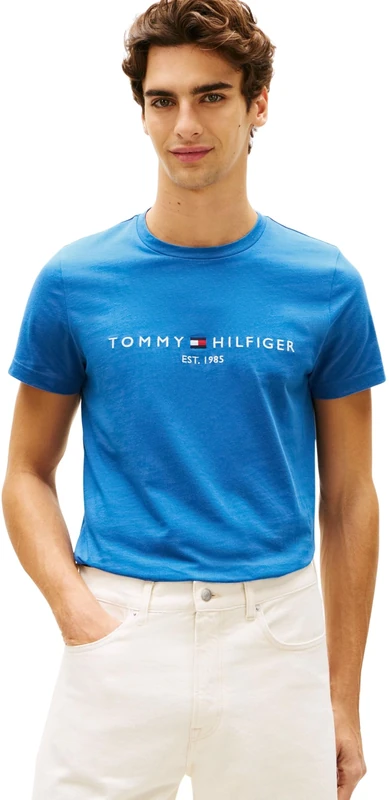 Tommy Hilfiger Men's Tommy Logo Tee MW0MW11797 S/S T-Shirt, Blue, XS