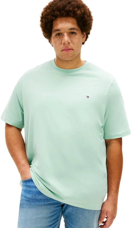 Tommy Hilfiger Men's Bt-Ess Seasonal Reg Solid Tee-B MW0MW41233 S/S T-Shirt, Green, 4XL - Image 1