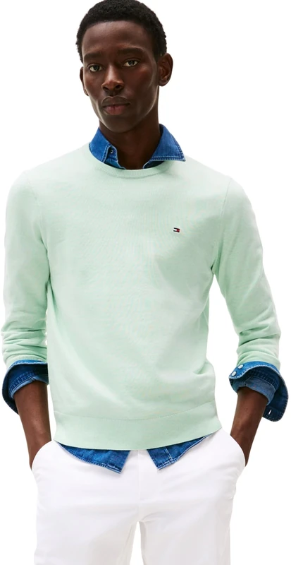 Tommy Hilfiger Men's Essential Ssnl Cotton Crew Neck Mw0Mw39999, Green, S