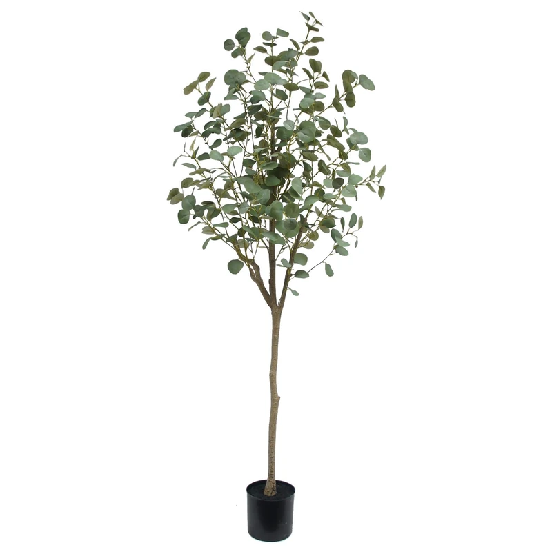 Leaf Design Eucalyptus Trees - Image 1