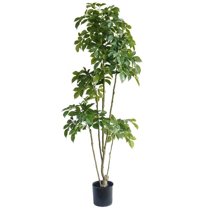 XL Luxury Artificial Trees by Leaf UK