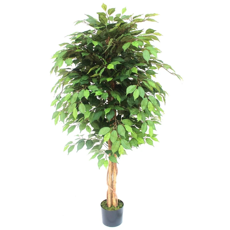 Leaf Artificial Ficus Tree/Plant