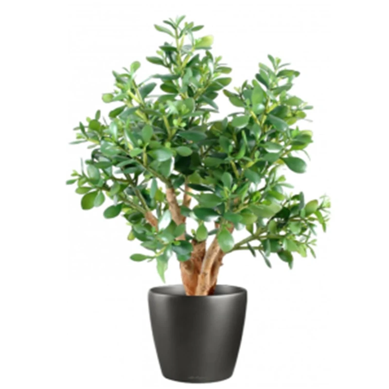 Leaf Artificial Bonsai Tree