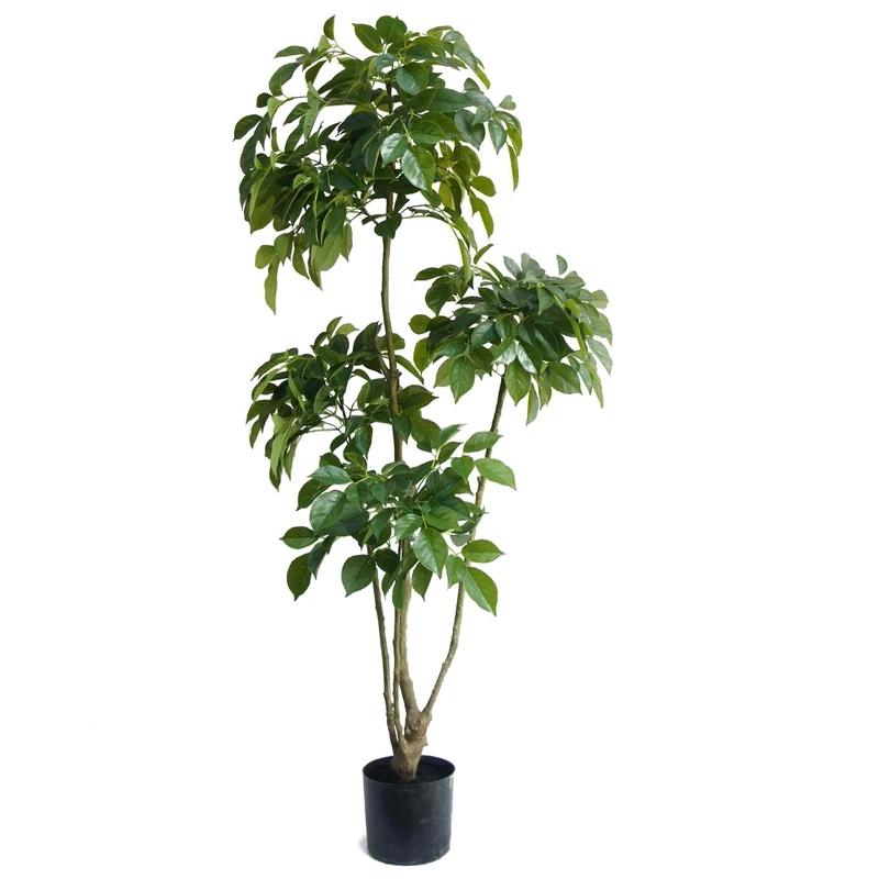 XL Luxury Artificial Trees by Leaf UK