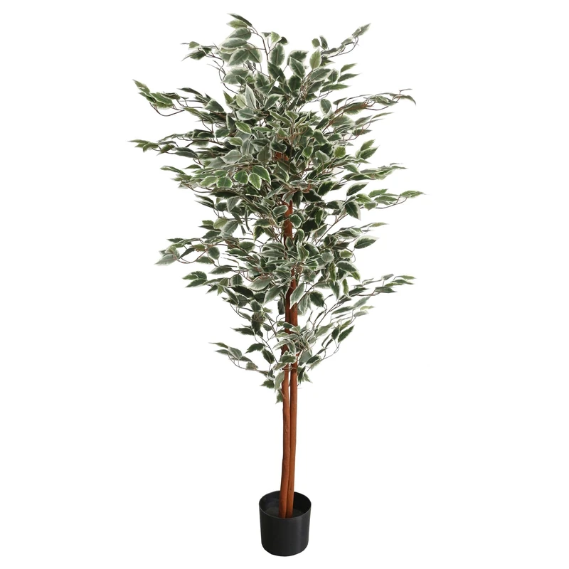 Leaf Artificial Tree/Plant, 160cm Ficus Variegated, 160 cm