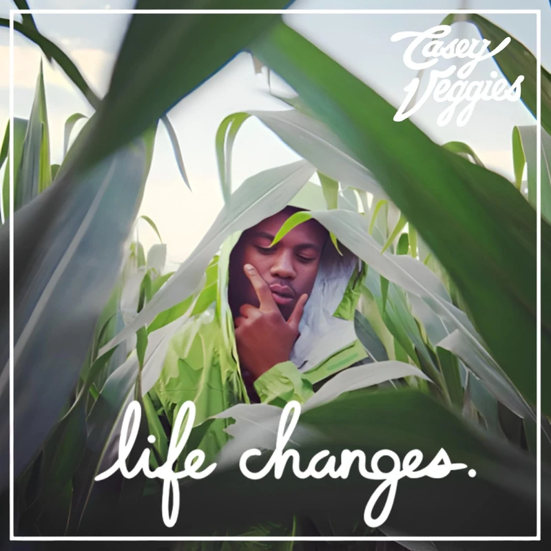 Life Changes [VINYL]