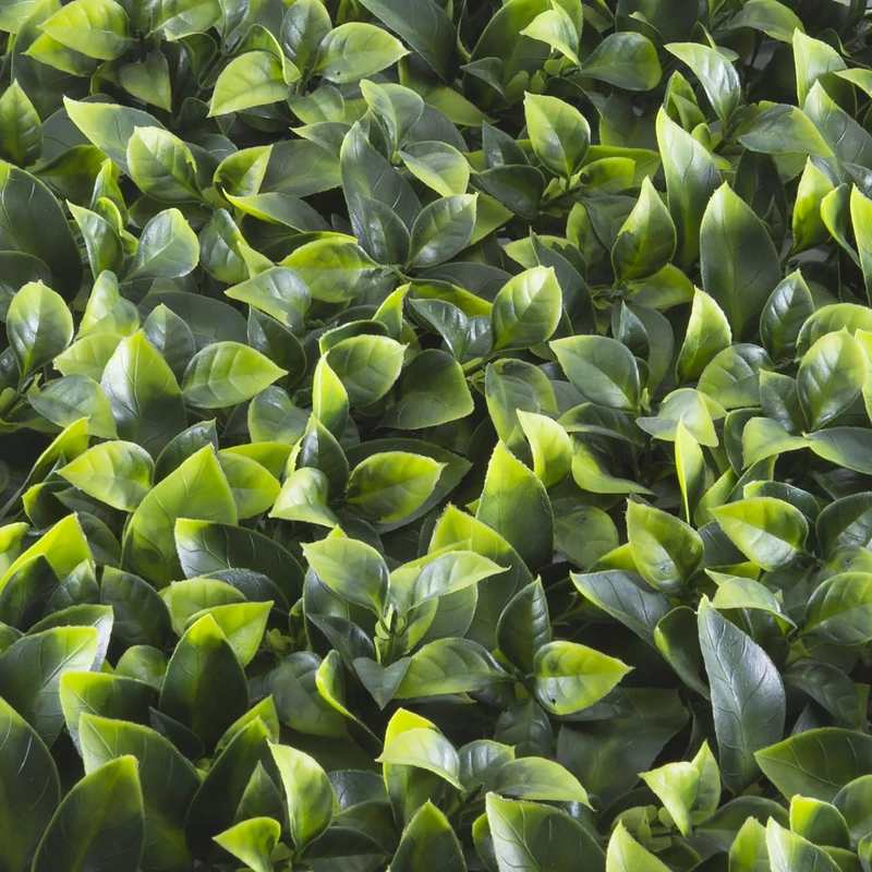 TENAX Divy Panel Photos 100 x 100 cm Green, Modular Panel with Artificial Leaves 3D Pothos Type for Walls, Vertical Gardens and Indoor/Outdoor Decorations