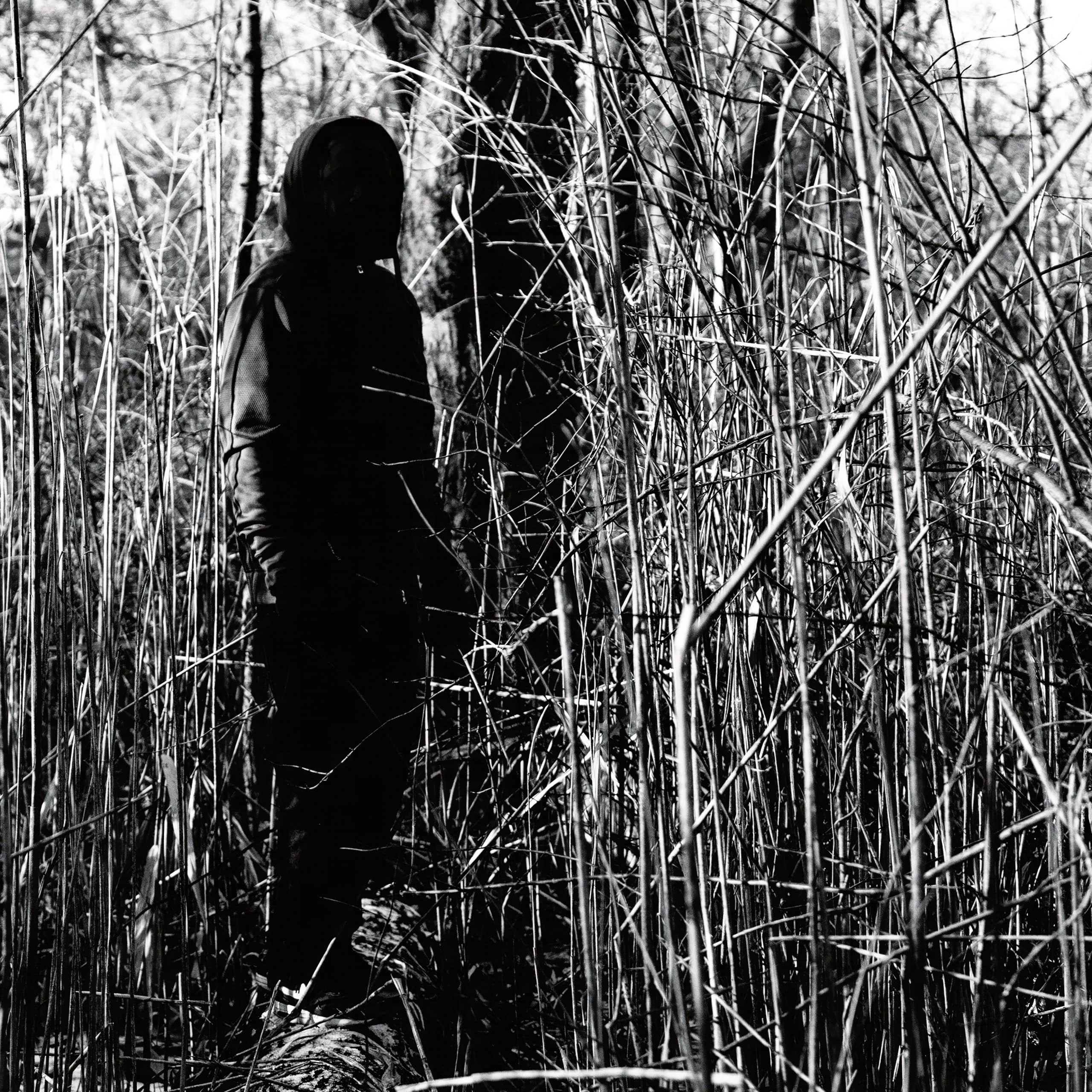 Today, I Wrote Nothing (10 Year Anniversary Reissue)