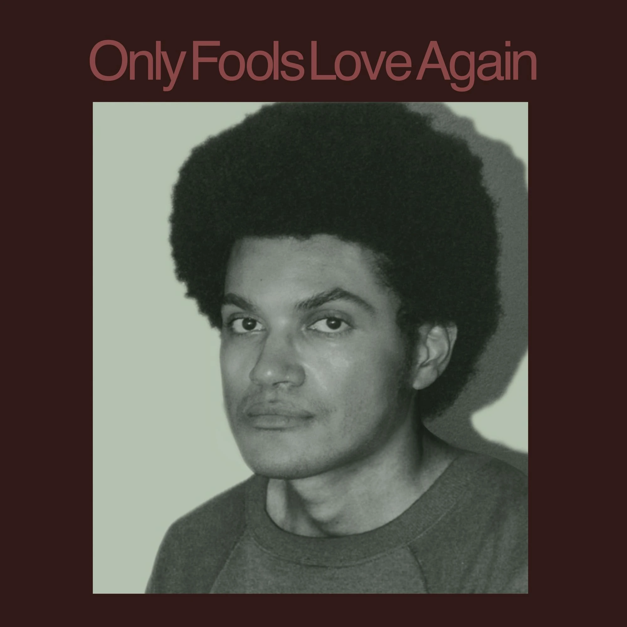 Only Fools Love Again [VINYL]