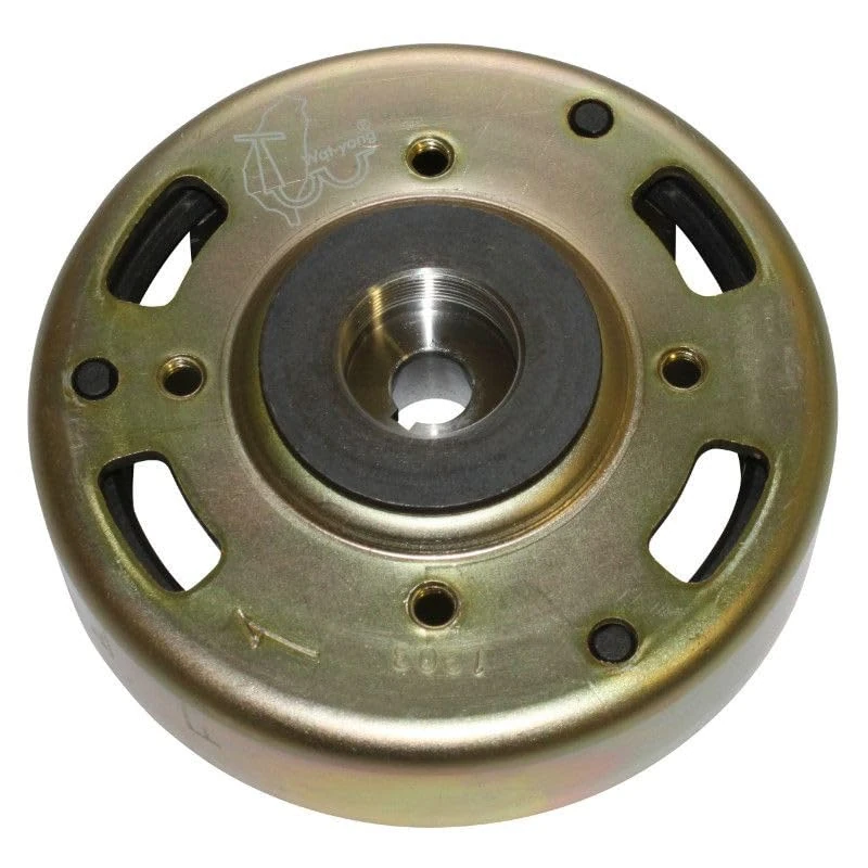 cyclingcolors Rotor Stator Motorcycle Engine Ignition Coil Scooter Moped Compatible with peugeot tkr trekker buxy