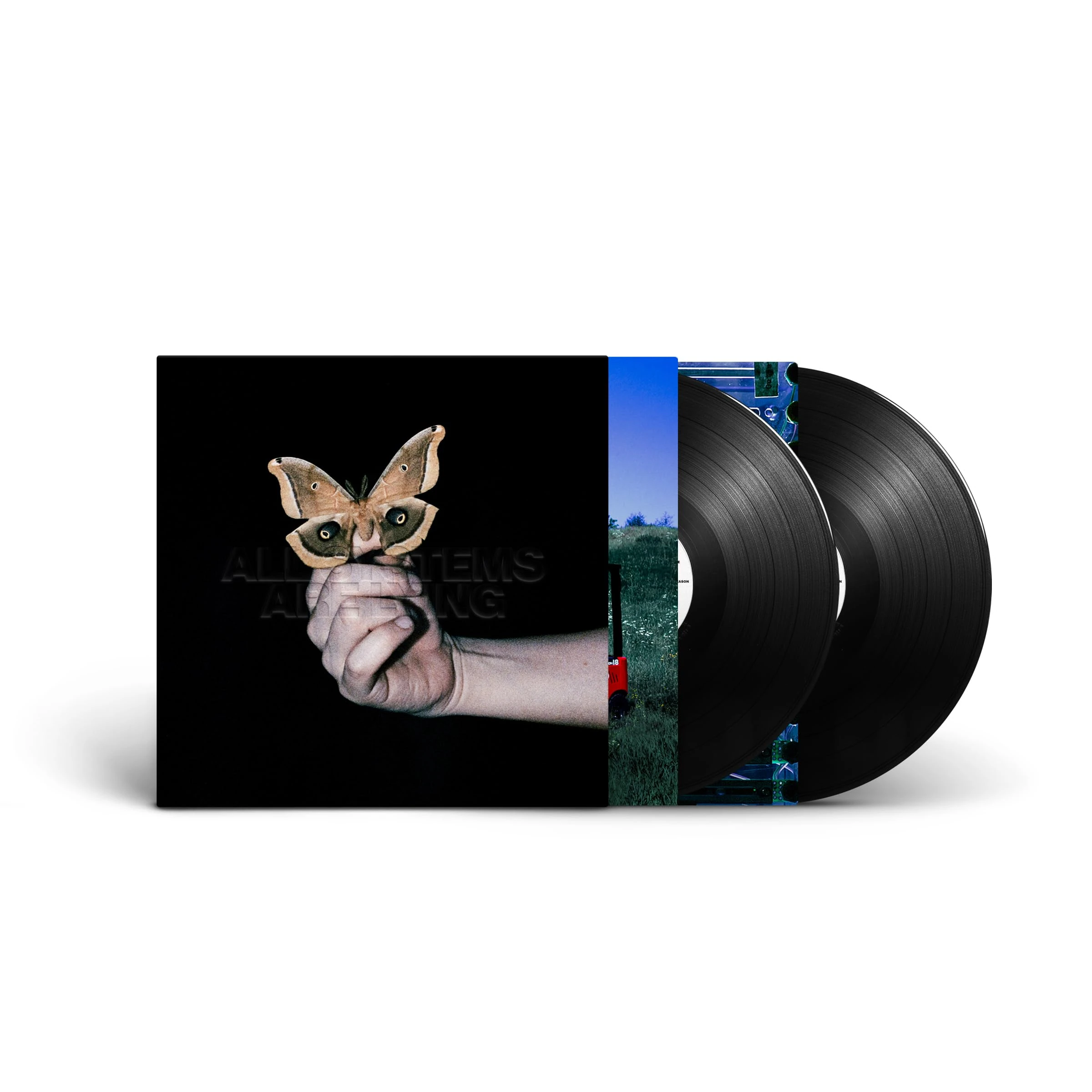 ALL SYSTEMS ARE LYING [VINYL]