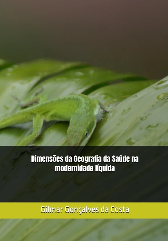 Dimensões da Geografia da Saúde na modernidade líquida
