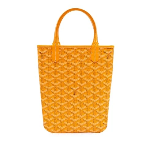 Pre-Loved Goyardine Poitiers Claire Voie Handbag
