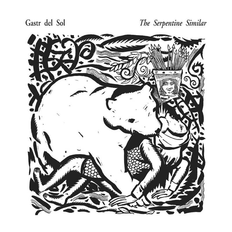The Serpentine Similar [VINYL]