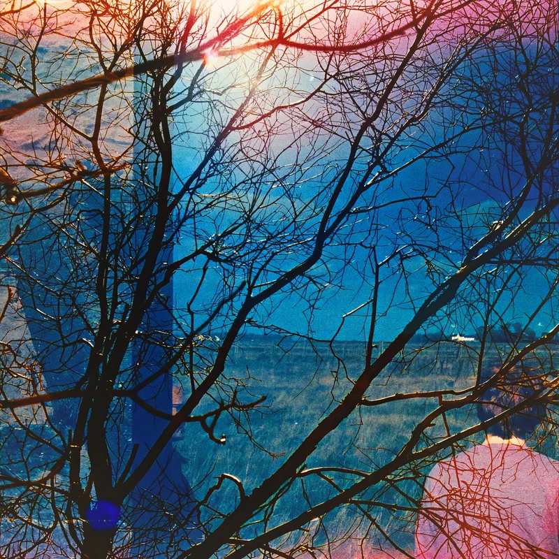 Idlewild Indie and Alternative Digital Music Download - Image 1