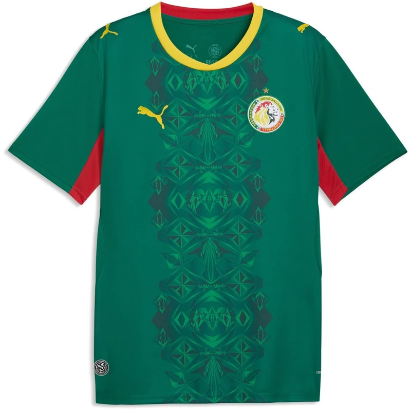 PUMA FSF Away Jersey Replica