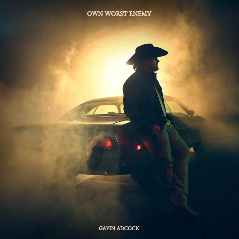 Own Worst Enemy [Vinyl LP] [VINYL] - Image 1