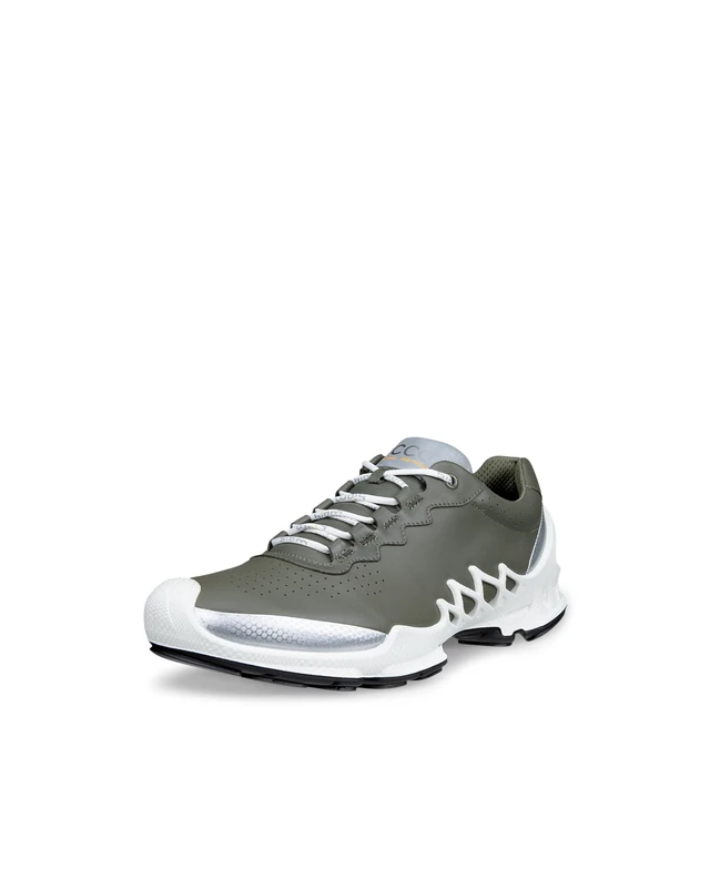 ECCO Men's Sneaker Biom AEX, Smokey Olive/Silver Metallic, 7.5