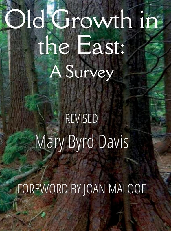 Old Growth in the East: A Survey (Revised) - Image 1