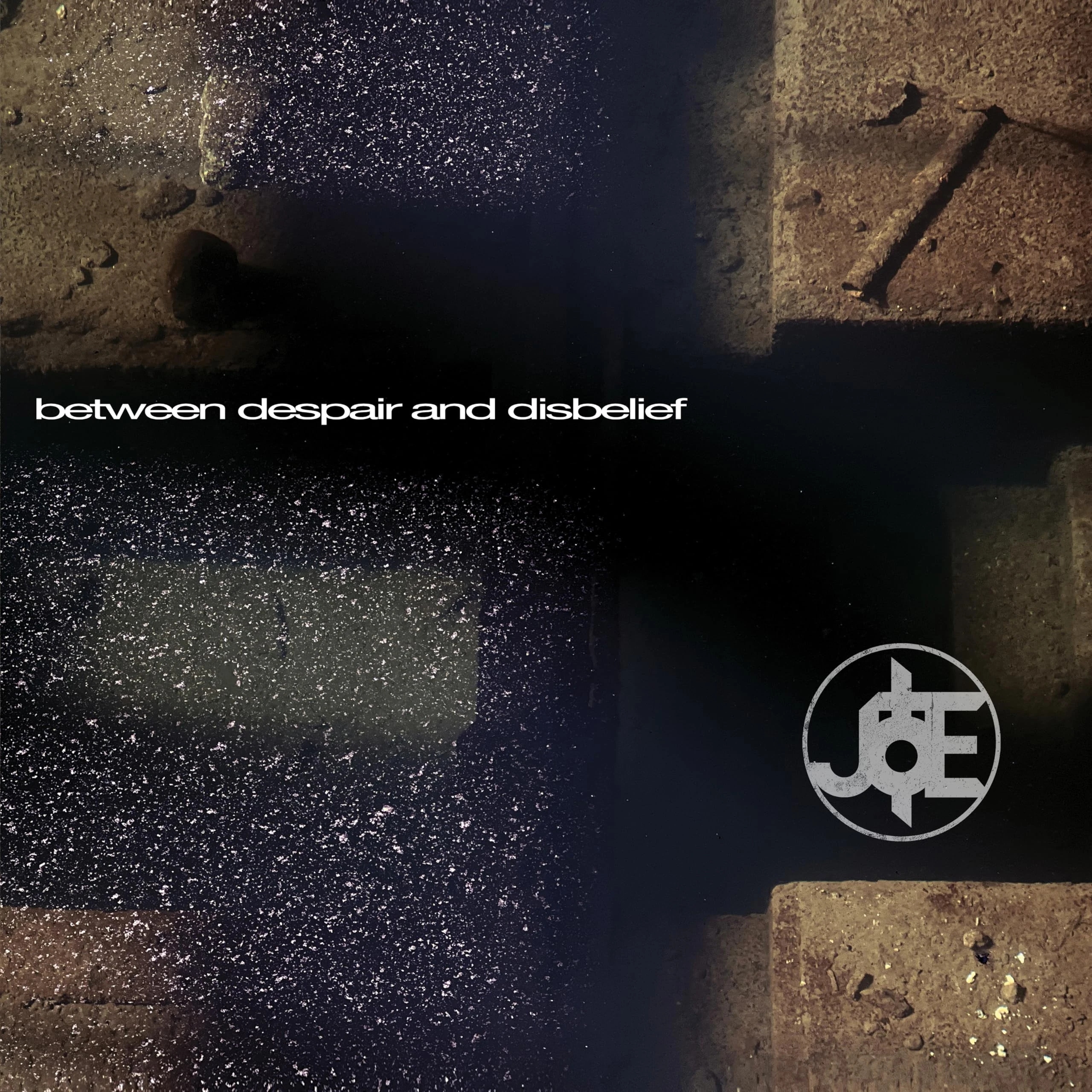 BETWEEN DESPAIR AND DISBELIEF (LIMITED EDITION) [VINYL]